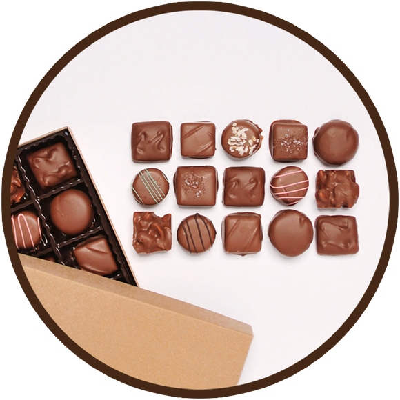 Assortment of handmade milk chocolates in a small gift collection.