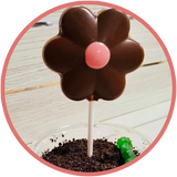 Plant a chocolate flower with a gummy worm and oreo cookie dirt. Instructions online!